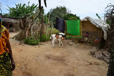 DSC_4689 (Large).JPG